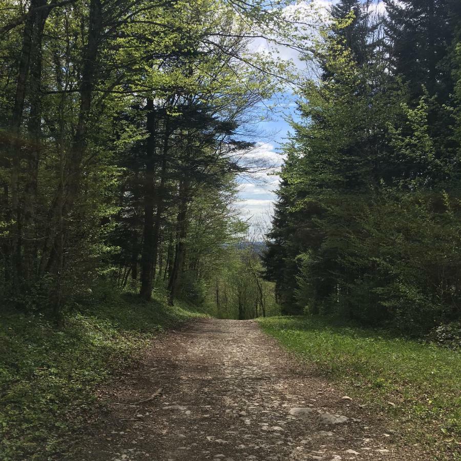 Gite La Janiat Montigny-sur-l'Ain Bagian luar foto